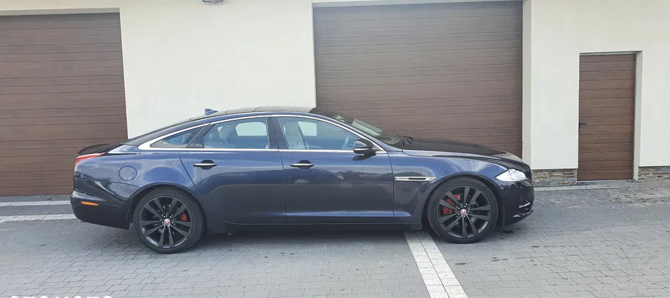 jaguar xj kościan Jaguar XJ cena 40500 przebieg: 182000, rok produkcji 2014 z Kościan